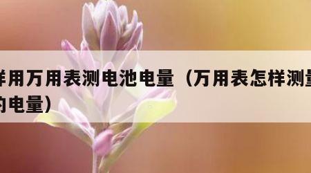 怎样用万用表测电池电量（万用表怎样测量电池的电量）