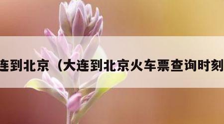 大连到北京（大连到北京火车票查询时刻表）