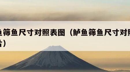 鲈鱼筛鱼尺寸对照表图（鲈鱼筛鱼尺寸对照表图片）
