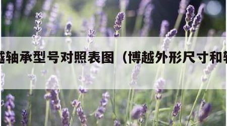 博越轴承型号对照表图（博越外形尺寸和轴距）