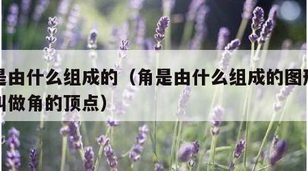 角是由什么组成的（角是由什么组成的图形什么叫做角的顶点）