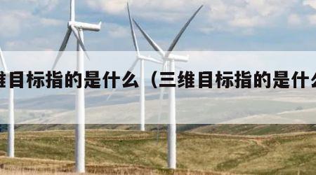 三维目标指的是什么（三维目标指的是什么英语）