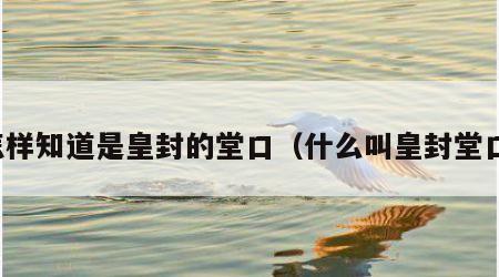 怎样知道是皇封的堂口（什么叫皇封堂口）