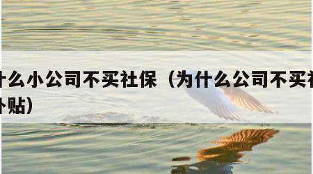为什么小公司不买社保（为什么公司不买社保给补贴）