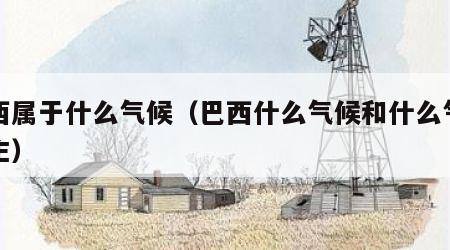 巴西属于什么气候（巴西什么气候和什么气候为主）