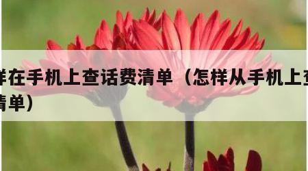怎样在手机上查话费清单（怎样从手机上查话费清单）