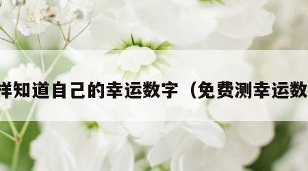 怎样知道自己的幸运数字（免费测幸运数字）