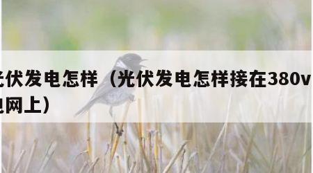光伏发电怎样（光伏发电怎样接在380v用电网上）