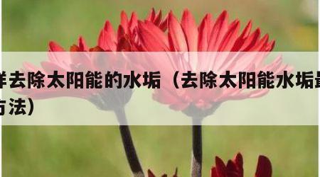 怎样去除太阳能的水垢（去除太阳能水垢最快的方法）