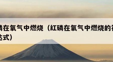 红磷在氧气中燃烧（红磷在氧气中燃烧的符号表达式）