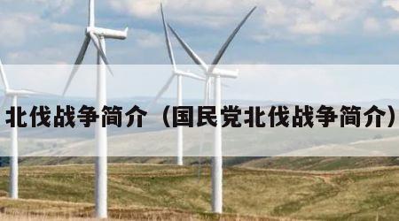 北伐战争简介（国民党北伐战争简介）