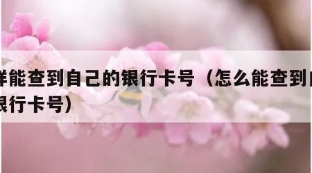 怎样能查到自己的银行卡号（怎么能查到自己的银行卡号）