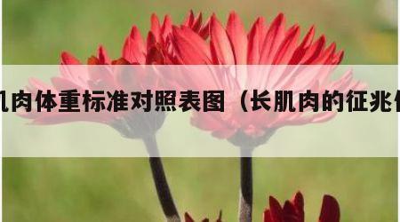 长肌肉体重标准对照表图（长肌肉的征兆体重）