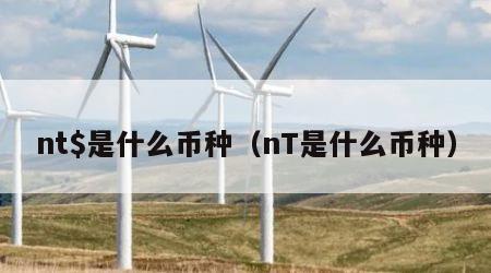 nt$是什么币种（nT是什么币种）