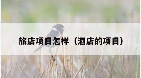 旅店项目怎样（酒店的项目）