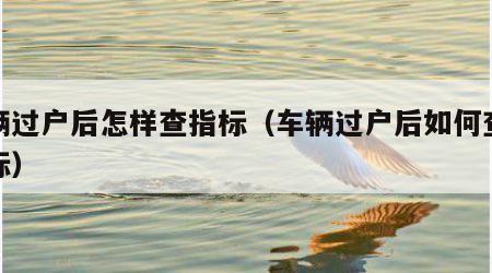 车辆过户后怎样查指标（车辆过户后如何查询指标）