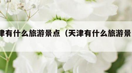 天津有什么旅游景点（天津有什么旅游景点?）