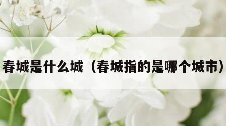 春城是什么城（春城指的是哪个城市）