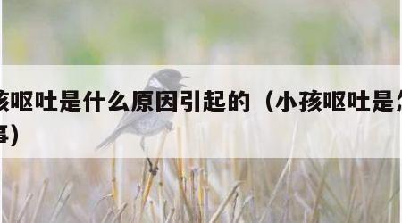 小孩呕吐是什么原因引起的（小孩呕吐是怎么回事）