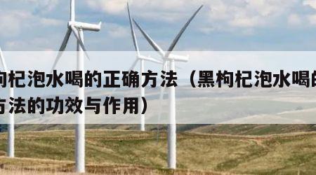 黑枸杞泡水喝的正确方法（黑枸杞泡水喝的正确方法的功效与作用）