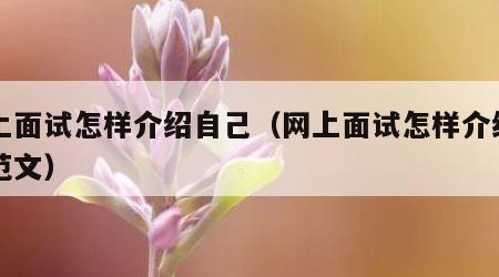 网上面试怎样介绍自己（网上面试怎样介绍自己范文）