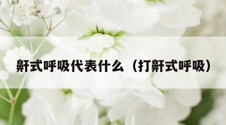 鼾式呼吸代表什么（打鼾式呼吸）