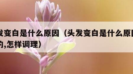 头发变白是什么原因（头发变白是什么原因引起的,怎样调理）