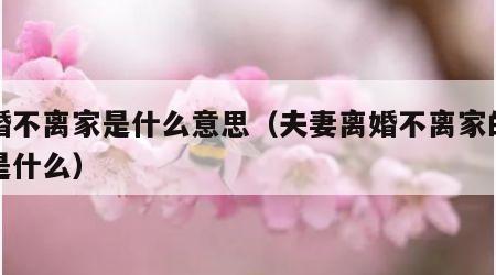 离婚不离家是什么意思（夫妻离婚不离家的后果是什么）