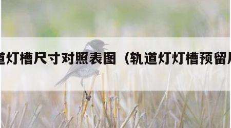 轨道灯槽尺寸对照表图（轨道灯灯槽预留尺寸）