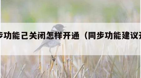 同步功能己关闭怎样开通（同步功能建议开启吗）