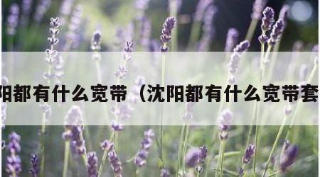 沈阳都有什么宽带（沈阳都有什么宽带套餐）