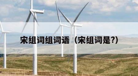 宋组词组词语（宋组词是?）