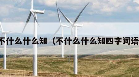 不什么什么知（不什么什么知四字词语）