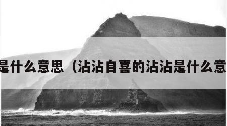 沾是什么意思（沾沾自喜的沾沾是什么意思）