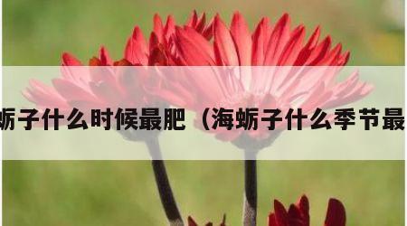 海蛎子什么时候最肥（海蛎子什么季节最好）