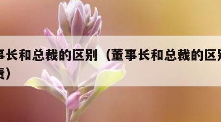 董事长和总裁的区别（董事长和总裁的区别的职责）
