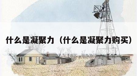 什么是凝聚力（什么是凝聚力购买）