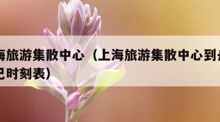 上海旅游集散中心（上海旅游集散中心到舟山大巴时刻表）