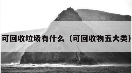 可回收垃圾有什么（可回收物五大类）