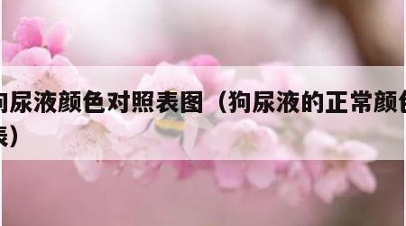 狗狗尿液颜色对照表图（狗尿液的正常颜色对照表）
