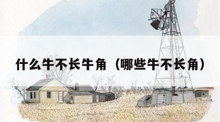 什么牛不长牛角（哪些牛不长角）