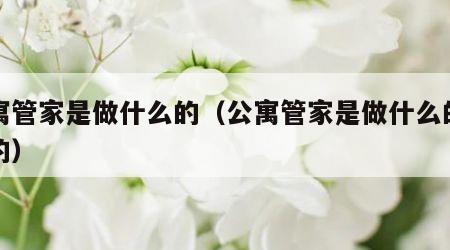 公寓管家是做什么的（公寓管家是做什么的薪资的）