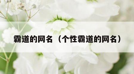 霸道的网名（个性霸道的网名）