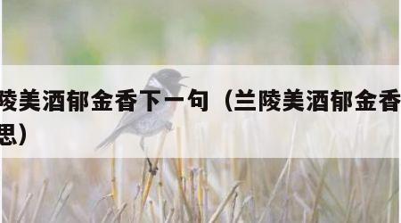 兰陵美酒郁金香下一句（兰陵美酒郁金香 的意思）