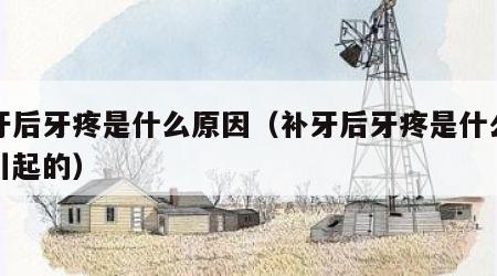 补牙后牙疼是什么原因（补牙后牙疼是什么原因引起的）