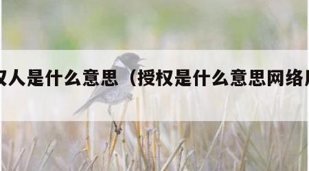授权人是什么意思（授权是什么意思网络用语）