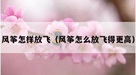 风筝怎样放飞（风筝怎么放飞得更高）