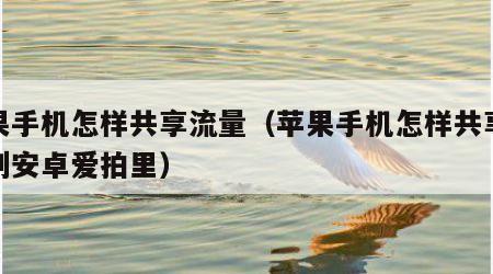 苹果手机怎样共享流量（苹果手机怎样共享流量到安卓爱拍里）