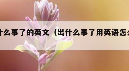 出什么事了的英文（出什么事了用英语怎么写）