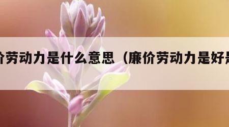 廉价劳动力是什么意思（廉价劳动力是好是坏）